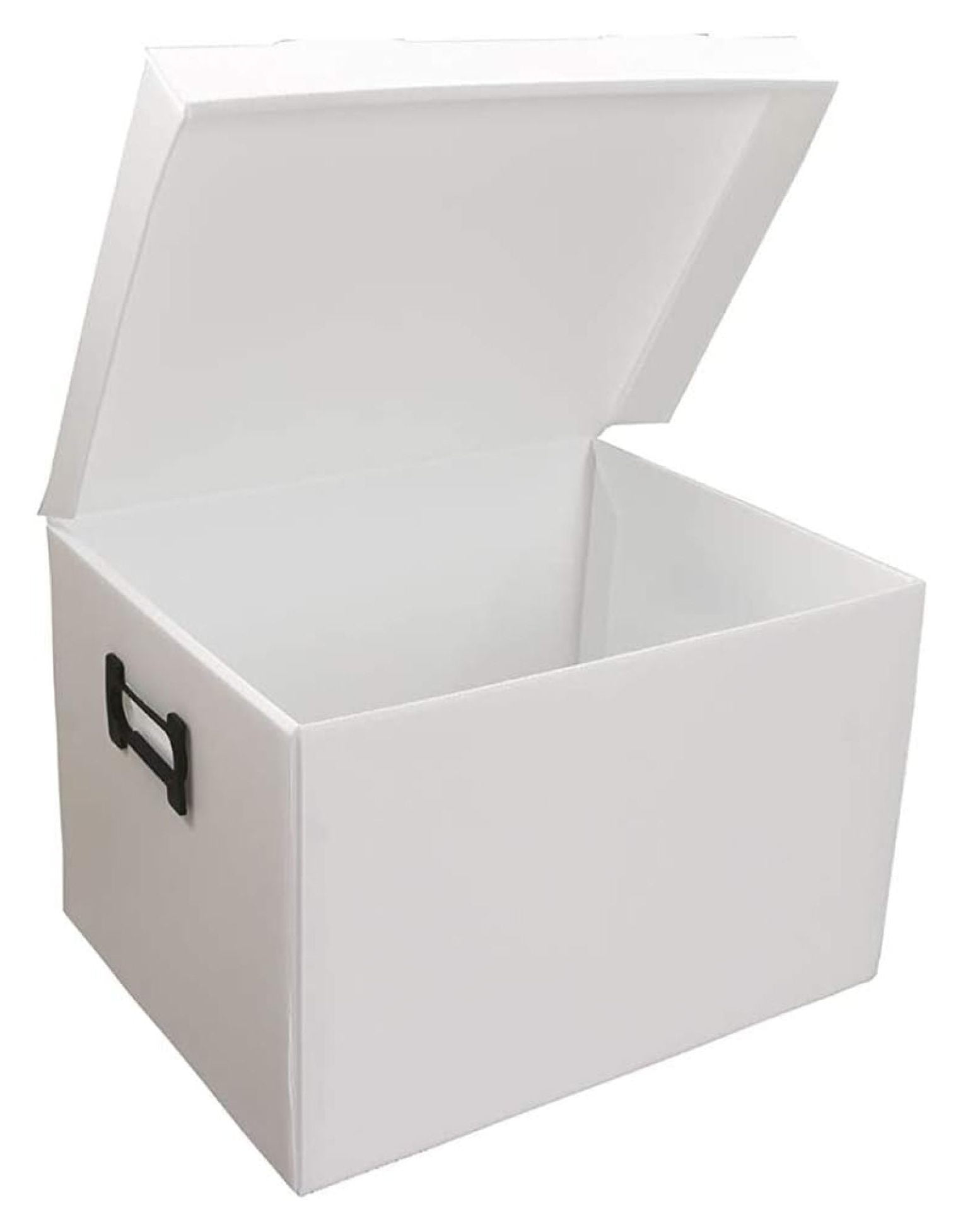 LeCeleBee Multipurpose Durable Plastic Filing Storage Organizer Box