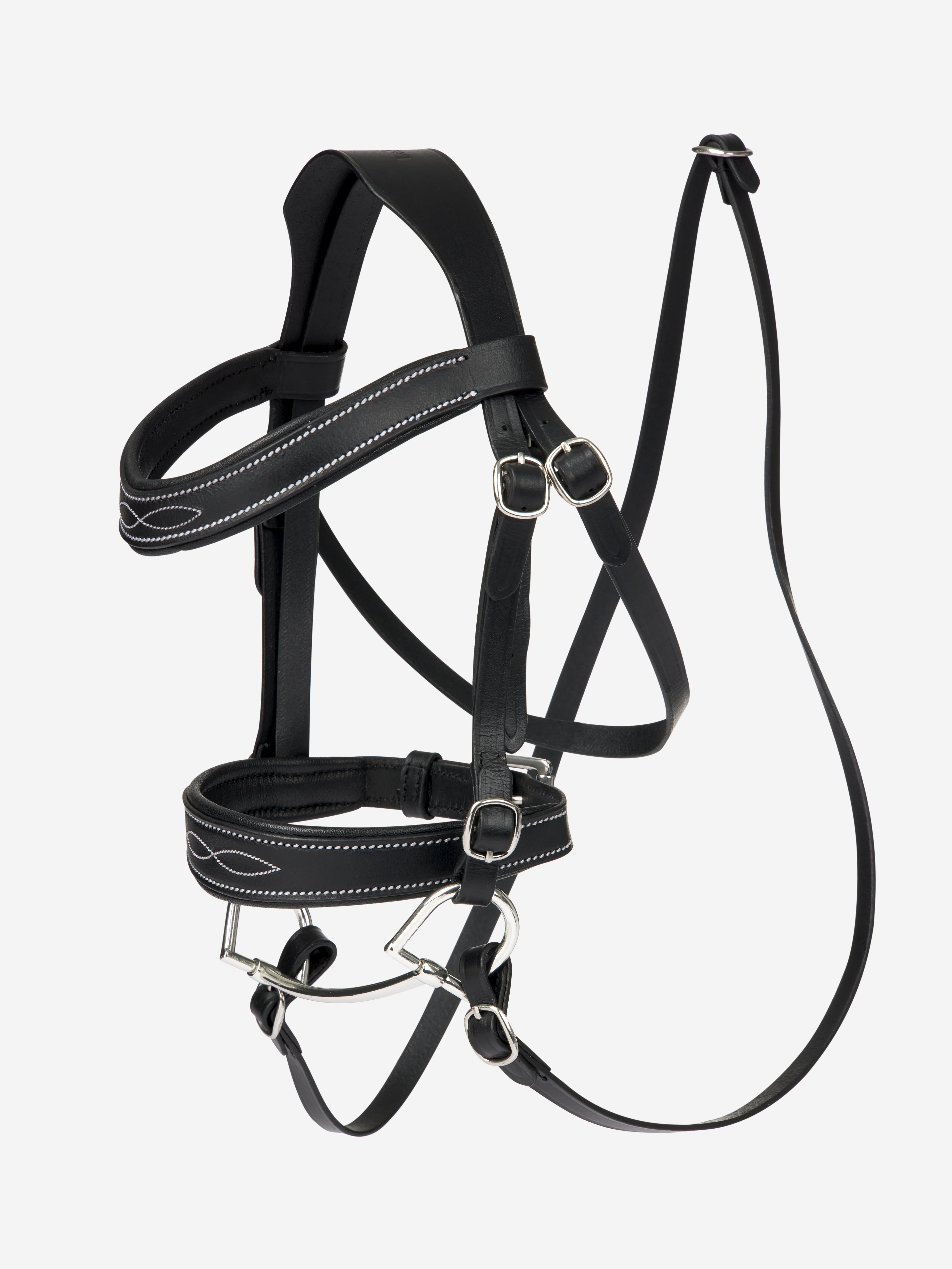 16 Hands Horse
