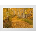 thumbnail image 1 of Leacock, J.C. 14x11 White Modern Wood Framed Museum Art Print Titled - Aspen Tree Trunks, 1 of 4