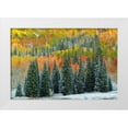 thumbnail image 1 of Leacock, J.C. 14x11 White Modern Wood Framed Museum Art Print Titled - Christmas Trees, 1 of 4