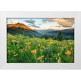 thumbnail image 1 of Leacock, J.C. 14x11 White Modern Wood Framed Museum Art Print Titled - Wash Gulch Wild, 1 of 4