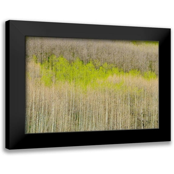 Leacock, J.C. 18x13 Black Modern Framed Museum Art Print Titled - Emergence