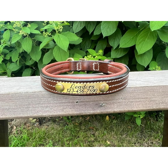 Leaders Leather Dog Collar with Customized Name Plate (5ft Leash Dual Padded)