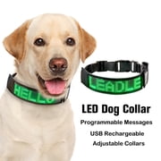 Leadleds Light Up LED Dog Collar, Polyester, Adjustable, Safety Glow, Fashion Collar, Green