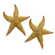 Leadrop 2Pcs Dried Starfish Sea Star Beach Craft Wedding Party Home Decoration