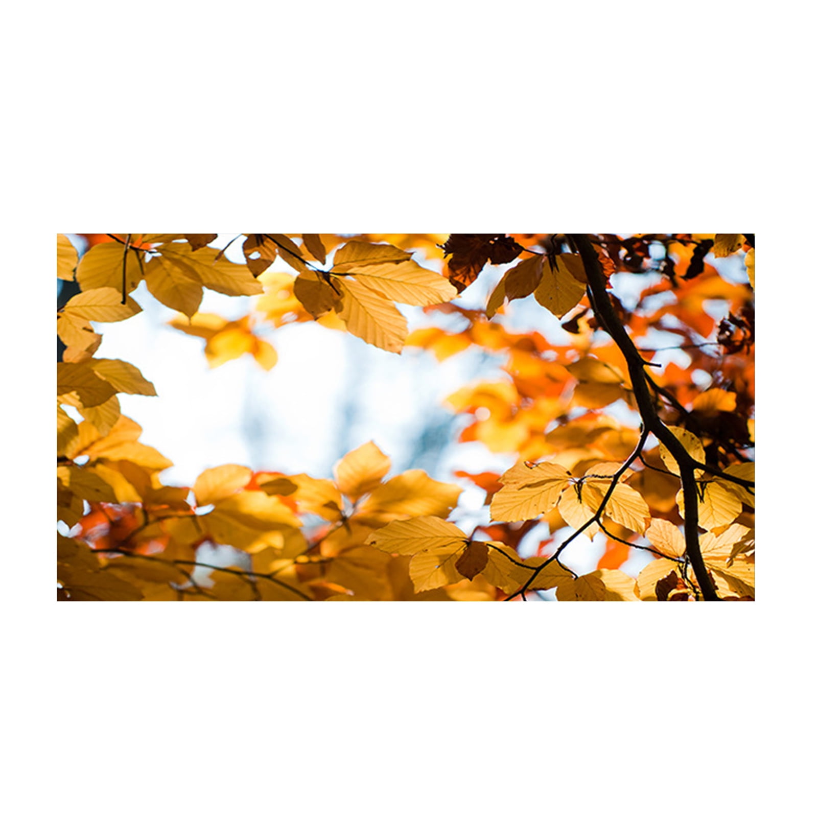 Leadrop Fluorescent Light Cover with 10 Exquisite Pattern Easy