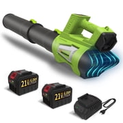 Yacona 21V Leaf Blower Cordless, with 2 x 6.0Ah Battery and Charger, 21V Electric Leaf Blowers with Strap, 6-Speed Powered Leaf Sweeper for Blowing Leaves, Lawn Care, Dust and Snow, Green