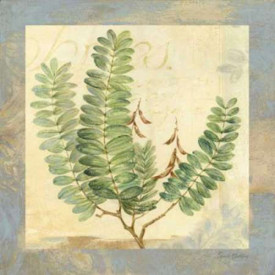 Leaf Botanicals I Canvas Art - Pamela Gladding (24 x 24)