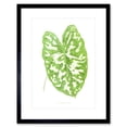 thumbnail image 1 of Leaf Caladium Pictum Art Print Framed Poster Wall Decor 9x7 inch, 1 of 5