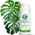 thumbnail image 1 of Leaf Cleaner Wipes for House Plants - Sparkling Leaf Shine for Indoor Plants - Houseplant Resource Center Plant Cleaning Wipes for Leaves - Root and Plant Duster Wipes 30 Count, 1 of 9