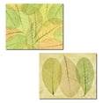 thumbnail image 1 of Leaf Collage | Gorgeous Soft Green and Yellow Leaves Photograph Print Set; Two 14x11 Poster Prints, 1 of 1