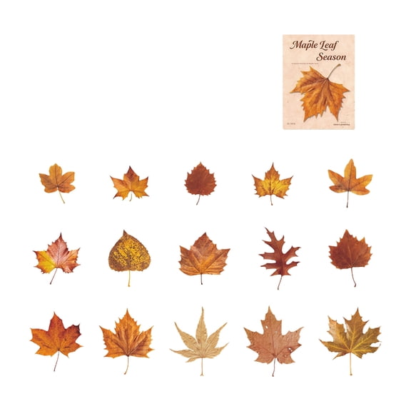 Leaf Sticker Removable Adhesive PET Sticker Label for Notebook Journal