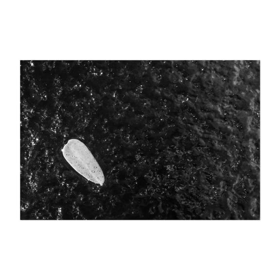 Leaf With Dewdrops 01 - Phoenix Arizona Photography Abstract Black and White Ocean Minimalist Surfboard Waves Surf Unframed Wall Art Print 32 x 48 inches