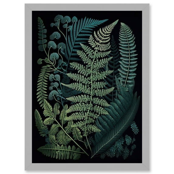 Leaf Illustration Fern Fronds Ernst Haeckel Style Artwork Framed Wall Art Print A4