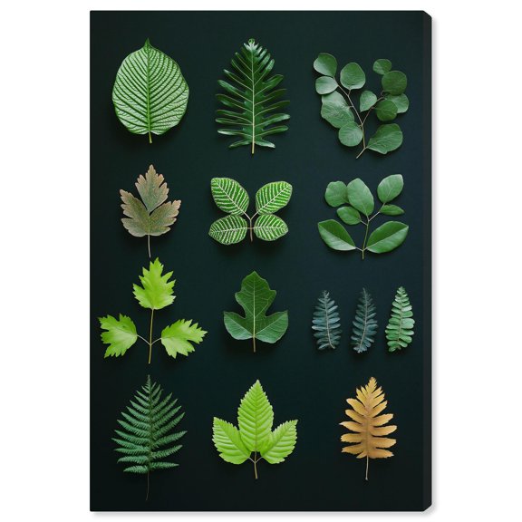 Leaf Library I Canvas Dark Botanical Print by Art Remedy, Gallery Wrapped, 30 x 45
