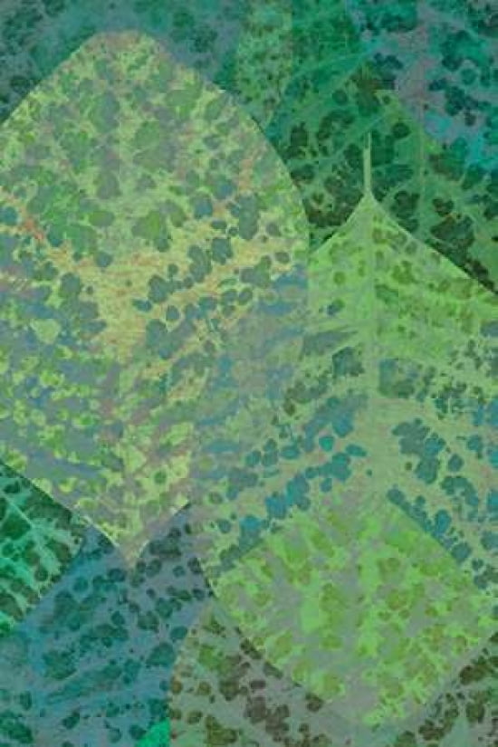 Leaf Pattern 1-13 Canvas Art - Cora Niele (24 x 36)