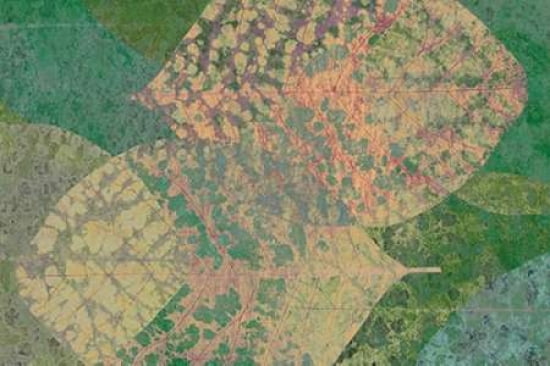 Leaf Pattern 1-21 Canvas Art - Cora Niele (12 x 18)