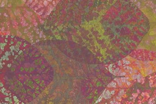 Leaf Pattern 1-22 Canvas Art - Cora Niele (24 x 36)