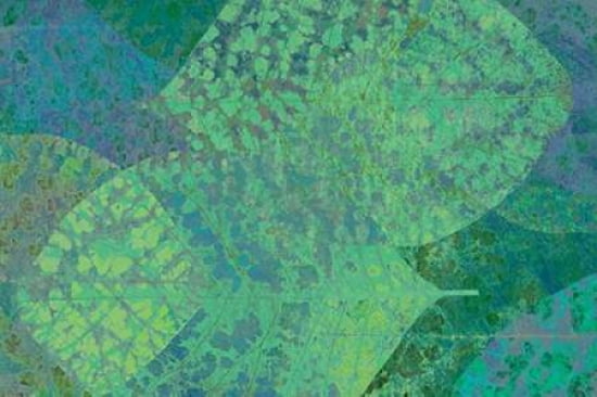 Leaf Pattern 1-4 Canvas Art - Cora Niele (24 x 36)