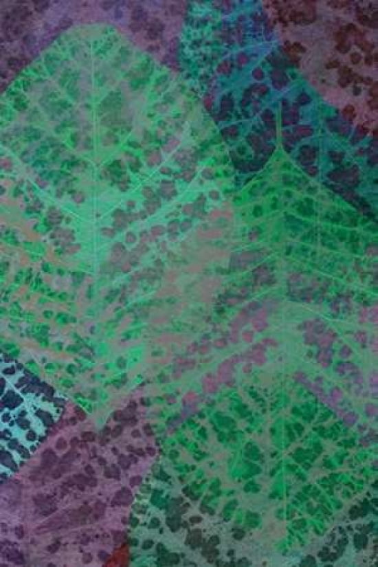 Leaf Pattern 1-6 Canvas Art - Cora Niele (24 x 36)