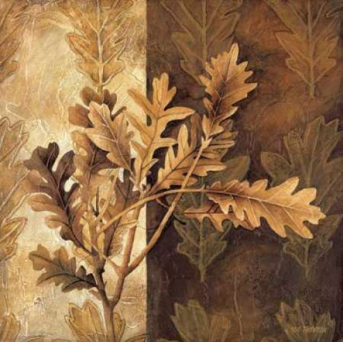Leaf Patterns I Canvas Art - Linda Thompson (24 x 24)