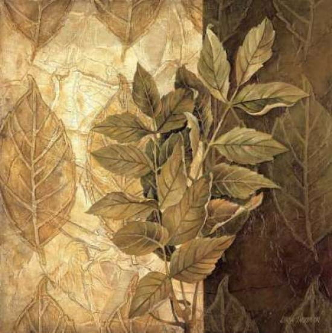 Leaf Patterns IV Canvas Art - Linda Thompson (24 x 24)