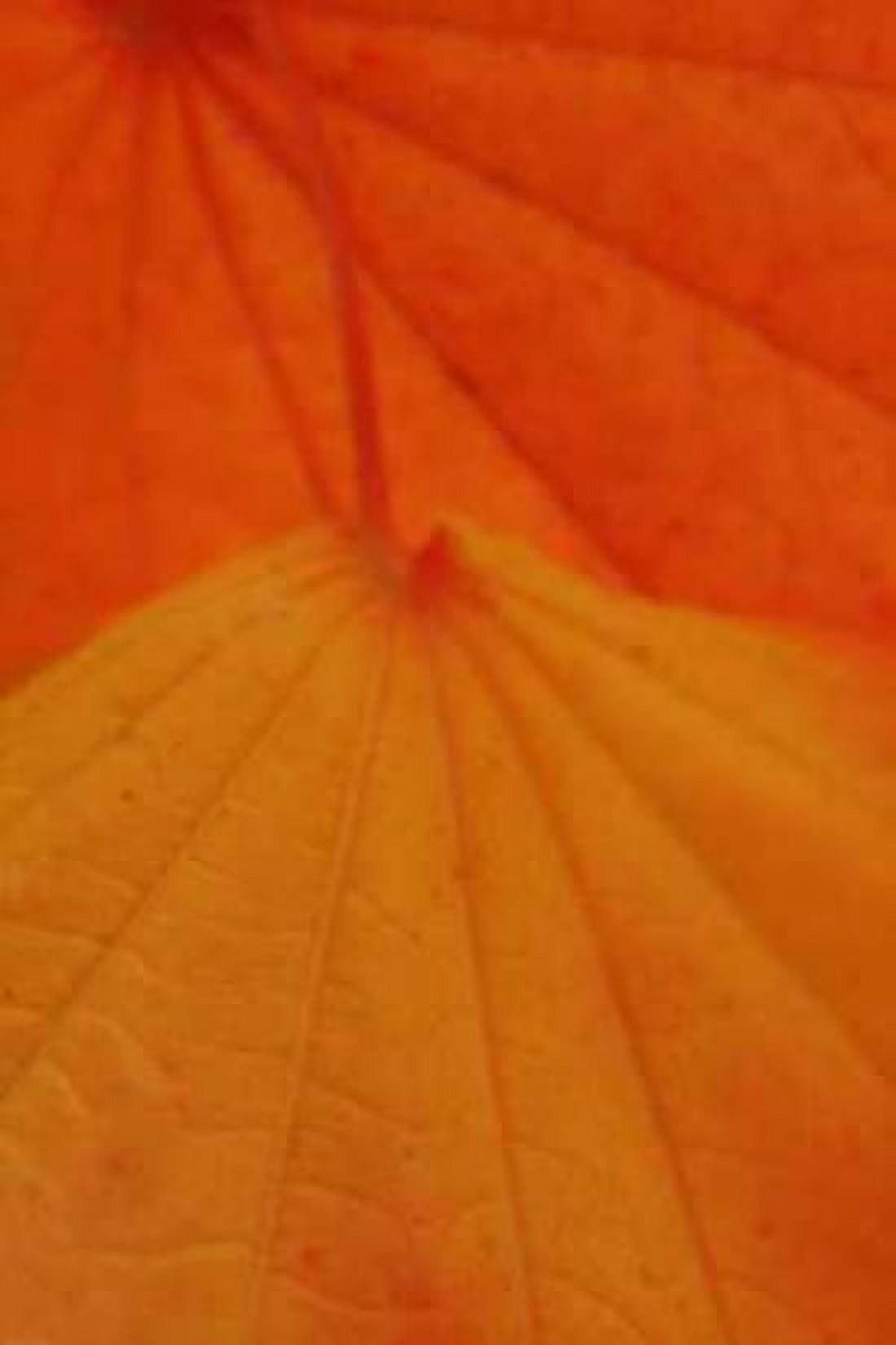 Leaf Romance II Canvas Art - Vitaly Geyman (24 x 36)