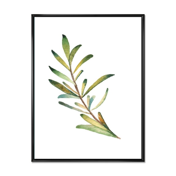 Leaf Rosemary Branch on White 12 in x 20 in Framed Painting Canvas Art Print, by Designart