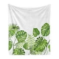 thumbnail image 1 of Leaf Soft Flannel Fleece Throw Blanket, Nature Jungle Forest Rainforest Inspired Leaves Plant Foliage Swirls Botanic Image, Cozy Plush for Indoor and Outdoor Use, 60" x 80", Pale Green, by Ambesonne, 1 of 5
