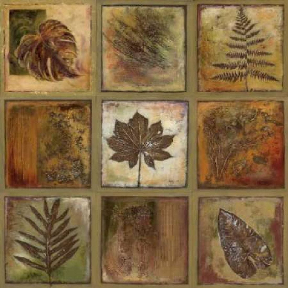 Leaf Square I Canvas Art - Patricia Pinto (24 x 24)