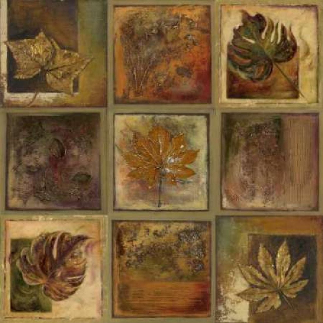 Leaf Square II Canvas Art - Patricia Pinto (24 x 24)