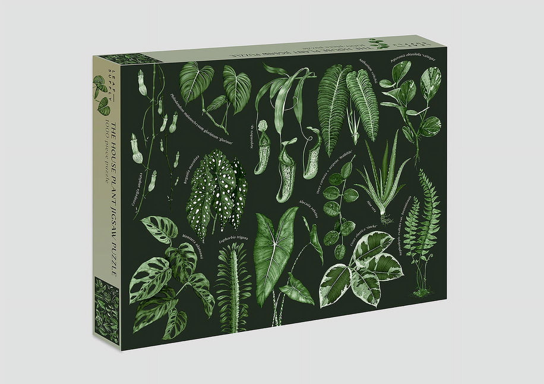 Leaf Supply: The House Plant Jigsaw Puzzle: 1000-Piece Jigsaw Puzzle (Other)