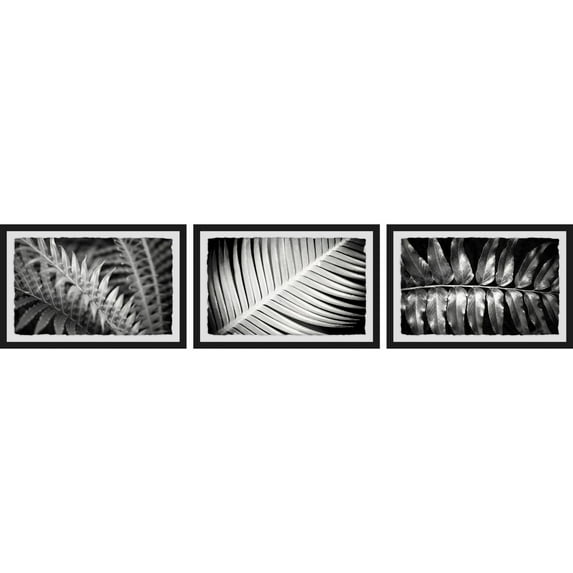 Leaf Types Triptych