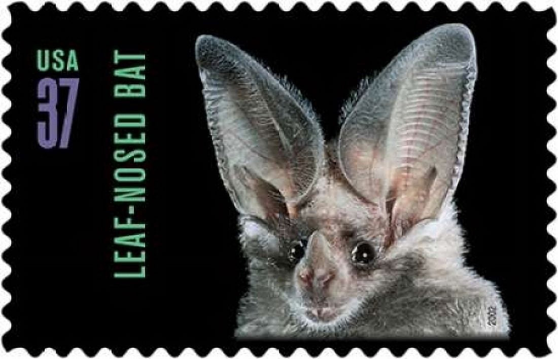 Leaf-nosed Bat Canvas Art - US POSTAL SERVICE (24 x 36)