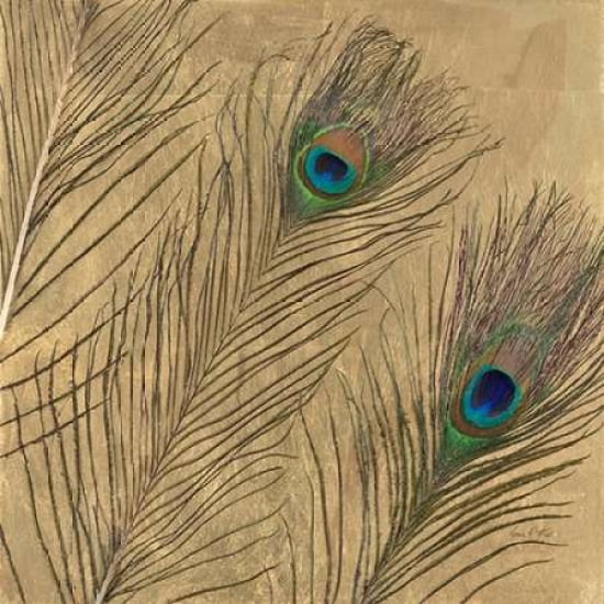 Leafed Peacock Feathers Canvas Art - Arnie Fisk (24 x 24)