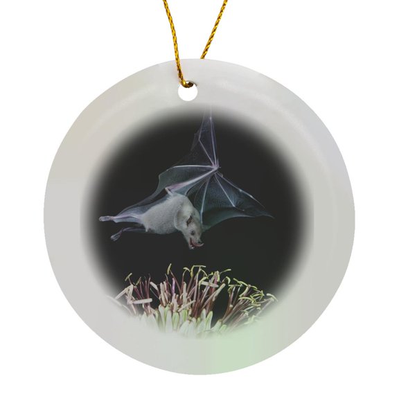 3drose, Leafnosed Fruit Bat, Agave, Tucson, Arizona, Usa - Us03 Aga0003 - Alice Garland, Circle Porcelain Ornament