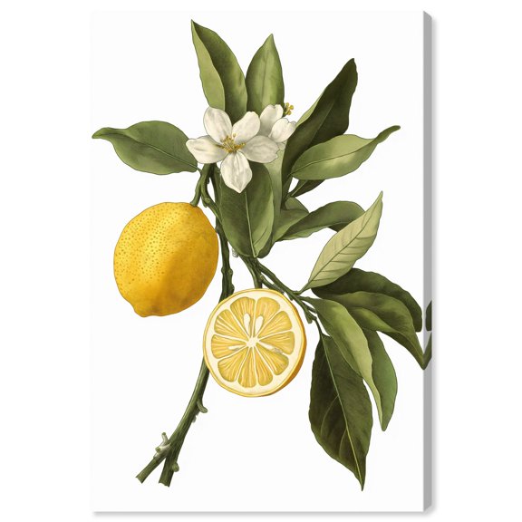 Leafy Infusion Canvas Vintage Prints by Art Remedy, Gallery Wrapped, 30" x 45"