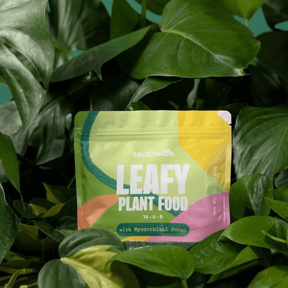 Leafy Plant Food