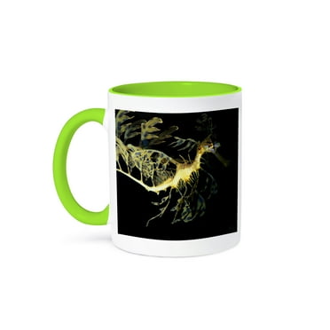 3dRose, Leafy Sea Dragon Seahorse, Phycodurus eques,, 11oz Two-Tone Green Mug