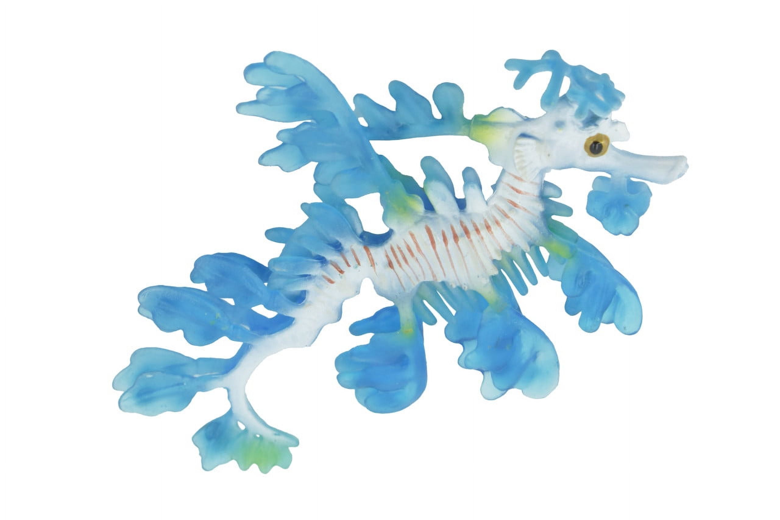 Leafy Sea Dragon, Weedy, Common, Pipefish, Seahorses, Museum Quality