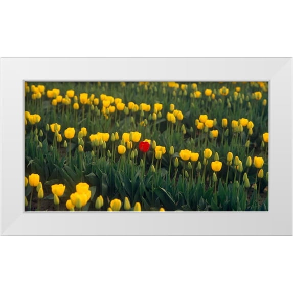 Leahy, Ike 18x11 White Modern Wood Framed Museum Art Print Titled - Me