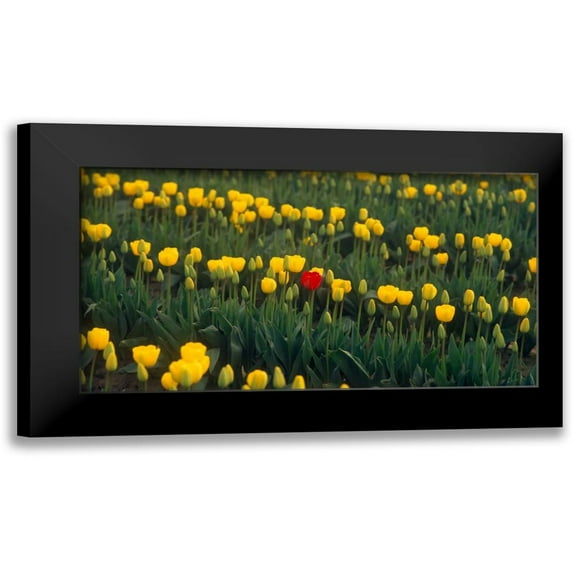 Leahy, Ike 24x15 Black Modern Framed Museum Art Print Titled - Me