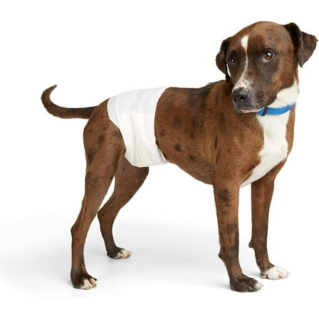 Leak Guard Disposable Wrap for Male Dogs Medium Count of 12