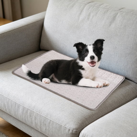 Leak Proof Cooling Blanket, Durable & Washable Dog Cooling Mat for Hot Weather, Soft Pet Throw & Couch Protector for Dogs & Cats 15.75*11.81In