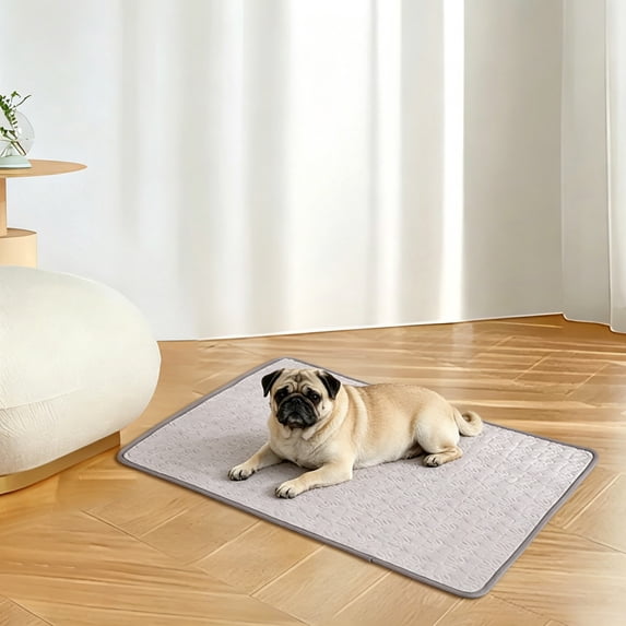 Leak Proof Cooling Blanket, Durable & Washable Dog Cooling Mat for Hot Weather, Soft Pet Throw & Couch Protector for Dogs & Cats 21.65*27.56In