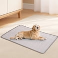 thumbnail image 1 of Leak Proof Cooling Blanket, Durable & Washable Dog Cooling Mat for Hot Weather, Soft Pet Throw & Couch Protector for Dogs & Cats 39.37*59.06In, 1 of 7