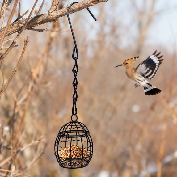 Leak-Proof Hummingbird Feeder for Outdoors, Ant & Bee Resistant with 4 Feeding Ports by PALIFEUR