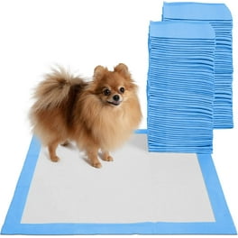 Pl360 puppy pads 2025