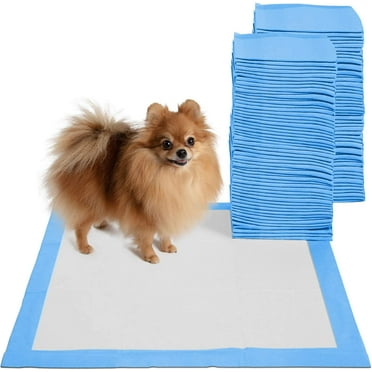 Leak-Proof Potty Training Pee Pads for Dogs and Puppies, Large - 22x22 Disposable, 150 Count