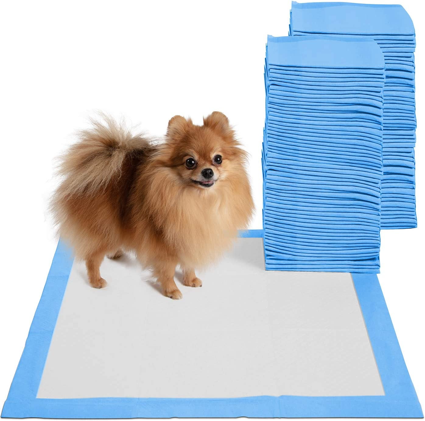Leak-Proof Potty Training Pee Pads for Dogs and Puppies, Large